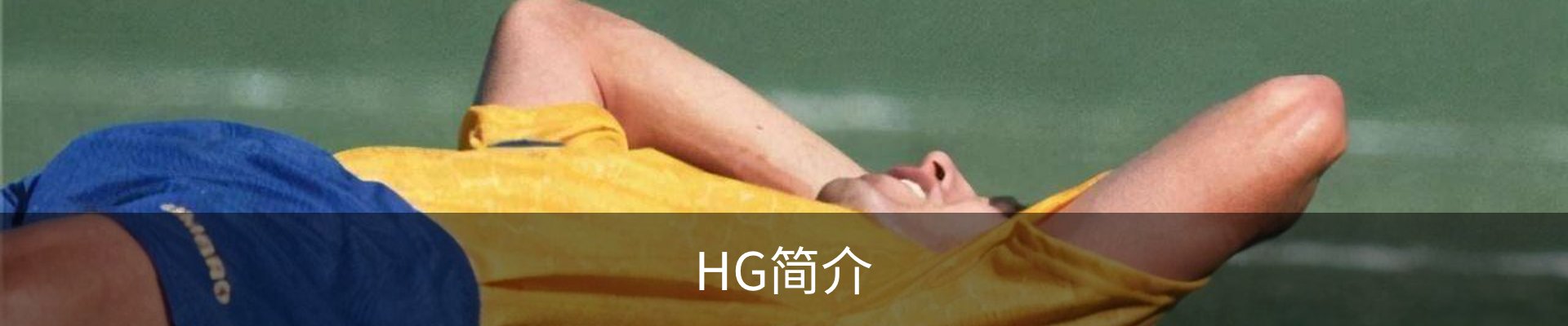 HG简介